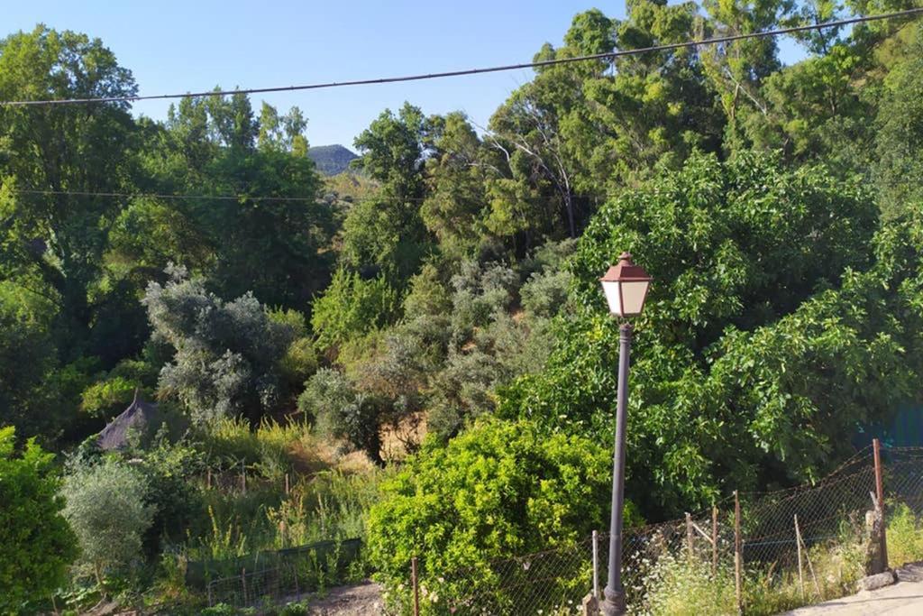 Ferienwohnung Vivienda Majaceite El Bosque Exterior foto