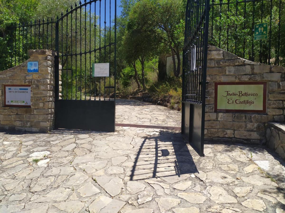 Ferienwohnung Vivienda Majaceite El Bosque Exterior foto